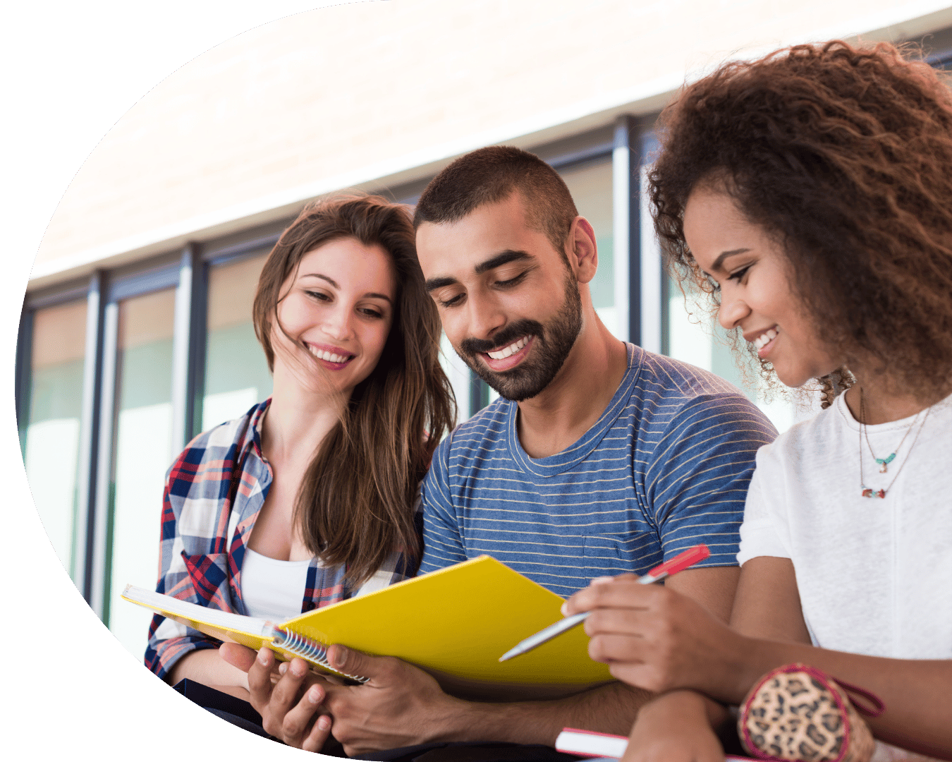 orientação de estudos psicologia maria silvia